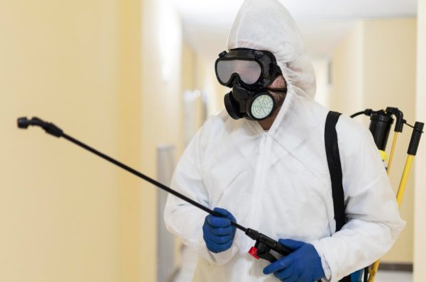 Pest Control Pest Control
