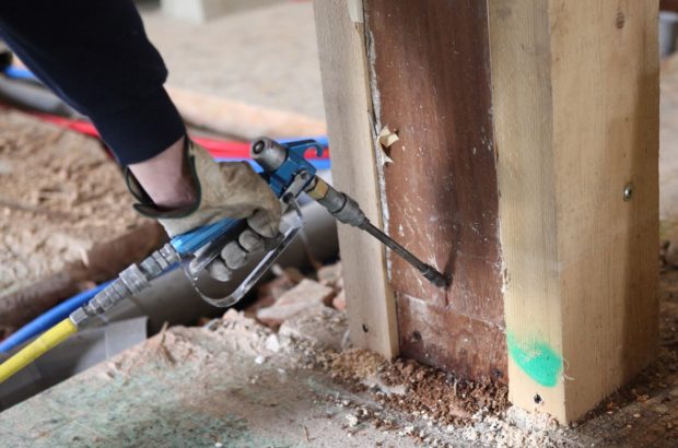 Termite Control Termite Control